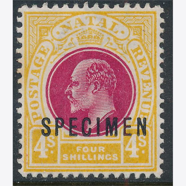 British Commonwealth 1902-03