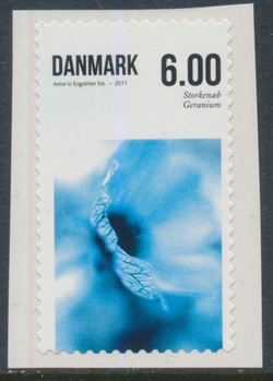 Danmark 2011