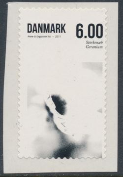 Danmark 2011