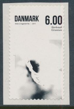 Danmark 2011