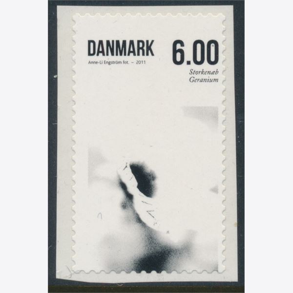 Danmark 2011