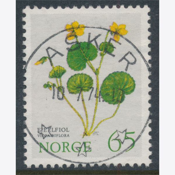 Norge 1973