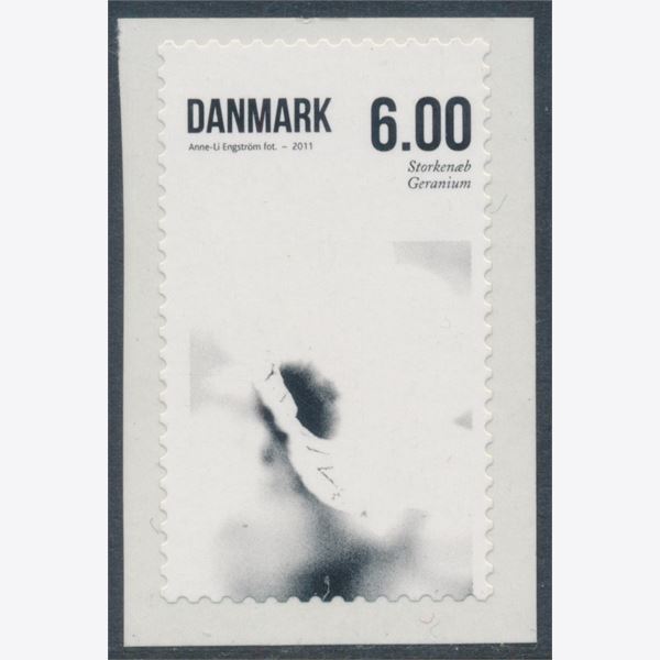 Danmark 2011