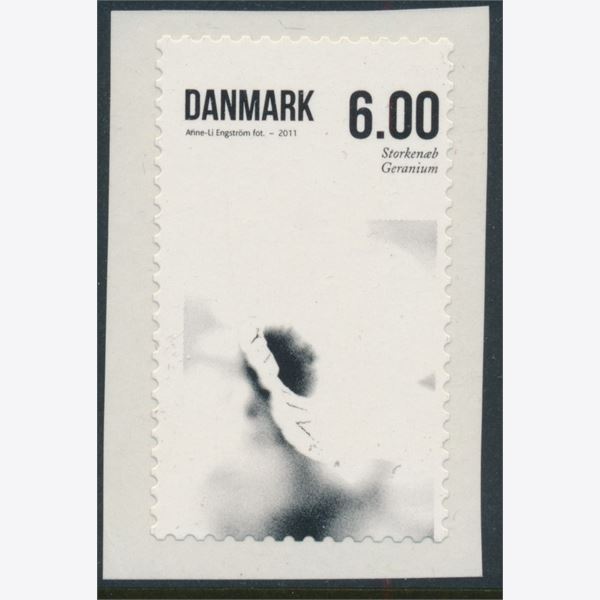 Danmark 2011