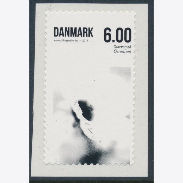 Danmark 2011