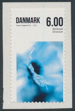 Danmark