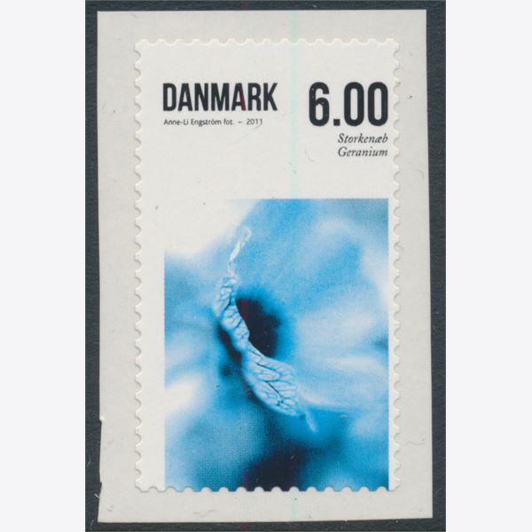 Danmark