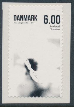 Danmark 2011