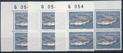 Grønland 1981